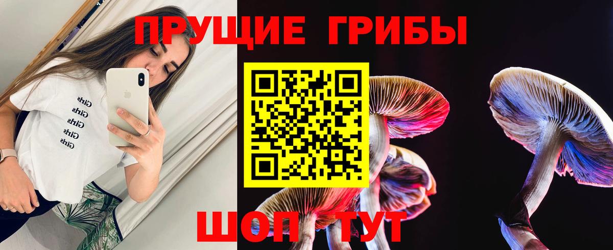 даркнет сайт  Вход с VPN  Бузулук  Псилоцибиновые грибы GOLDEN TEACHER  Галлюциногенные грибы Psilocybine cubensis 